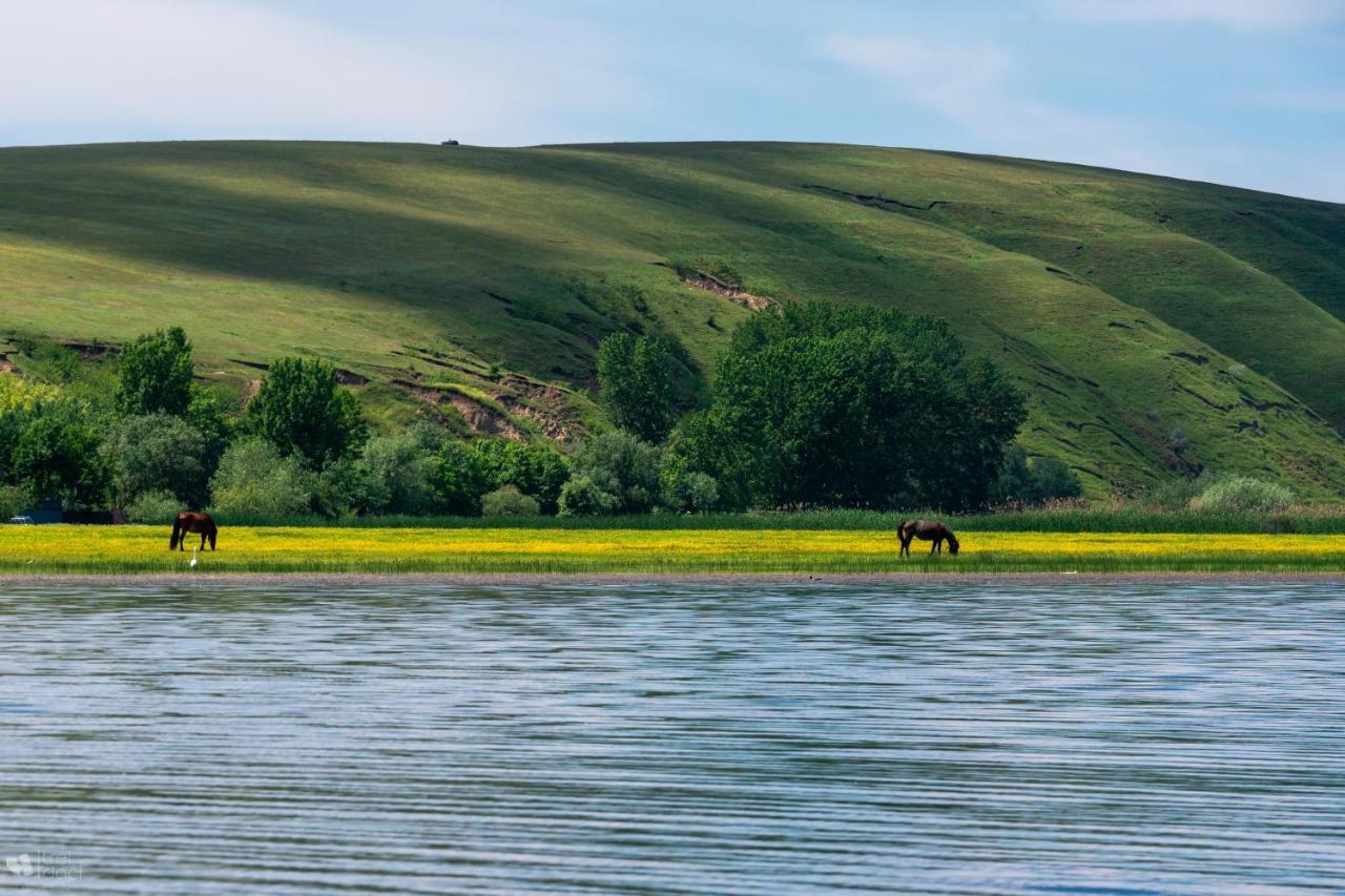 Delta Mayanka Mineri ภายนอก รูปภาพ
