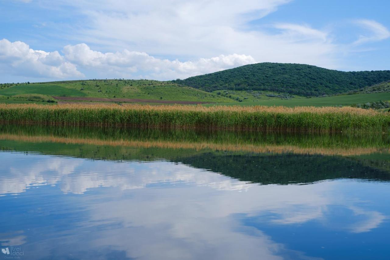 Delta Mayanka Mineri ภายนอก รูปภาพ